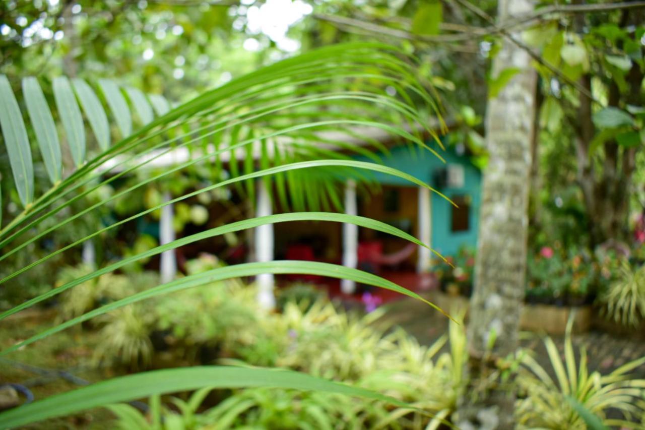 Palitha Homestay Sigiriya Exterior photo