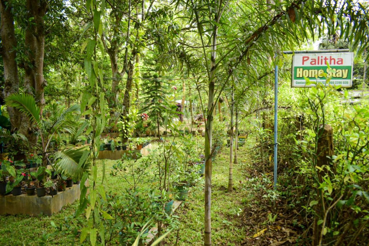 Palitha Homestay Sigiriya Exterior photo