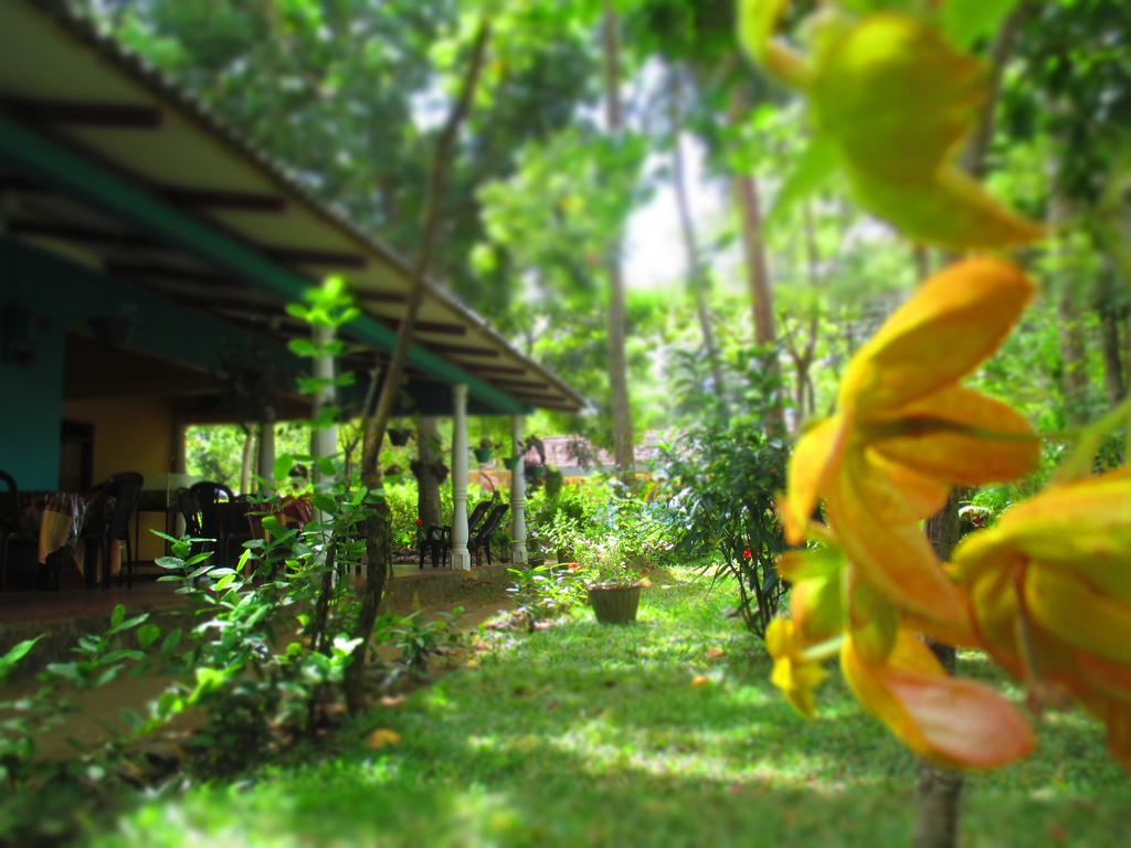 Palitha Homestay Sigiriya Exterior photo