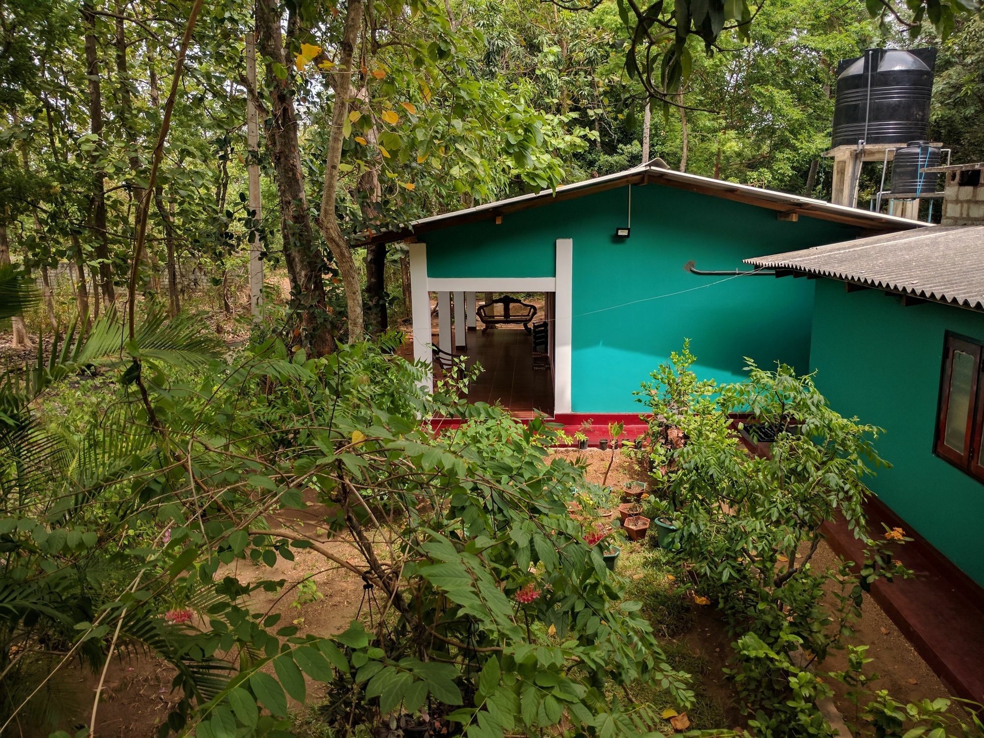 Palitha Homestay Sigiriya Exterior photo