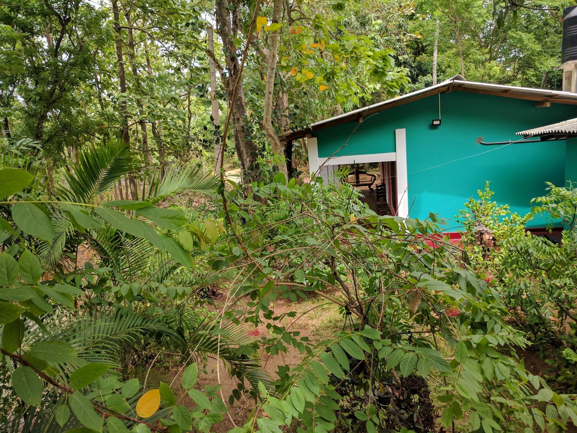 Palitha Homestay Sigiriya Exterior photo